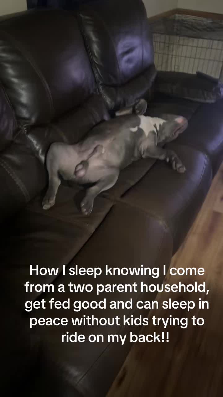 @AlwaysEwnique