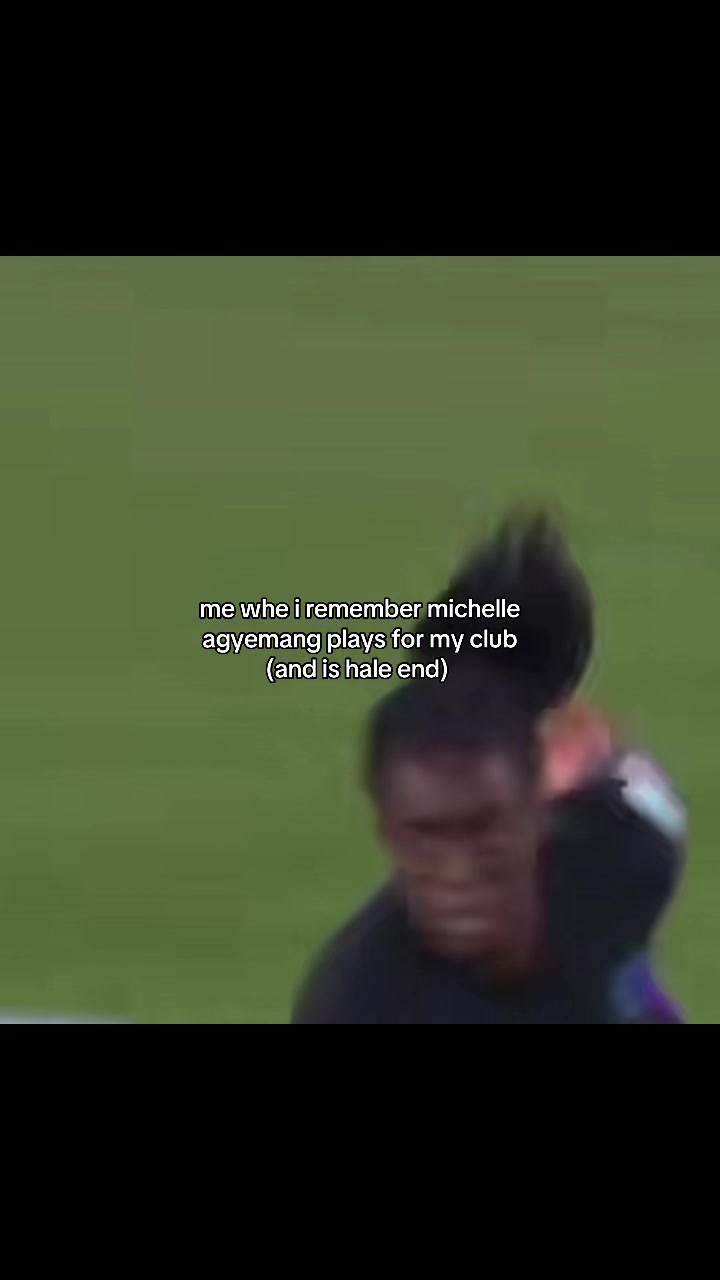 @wslmemes