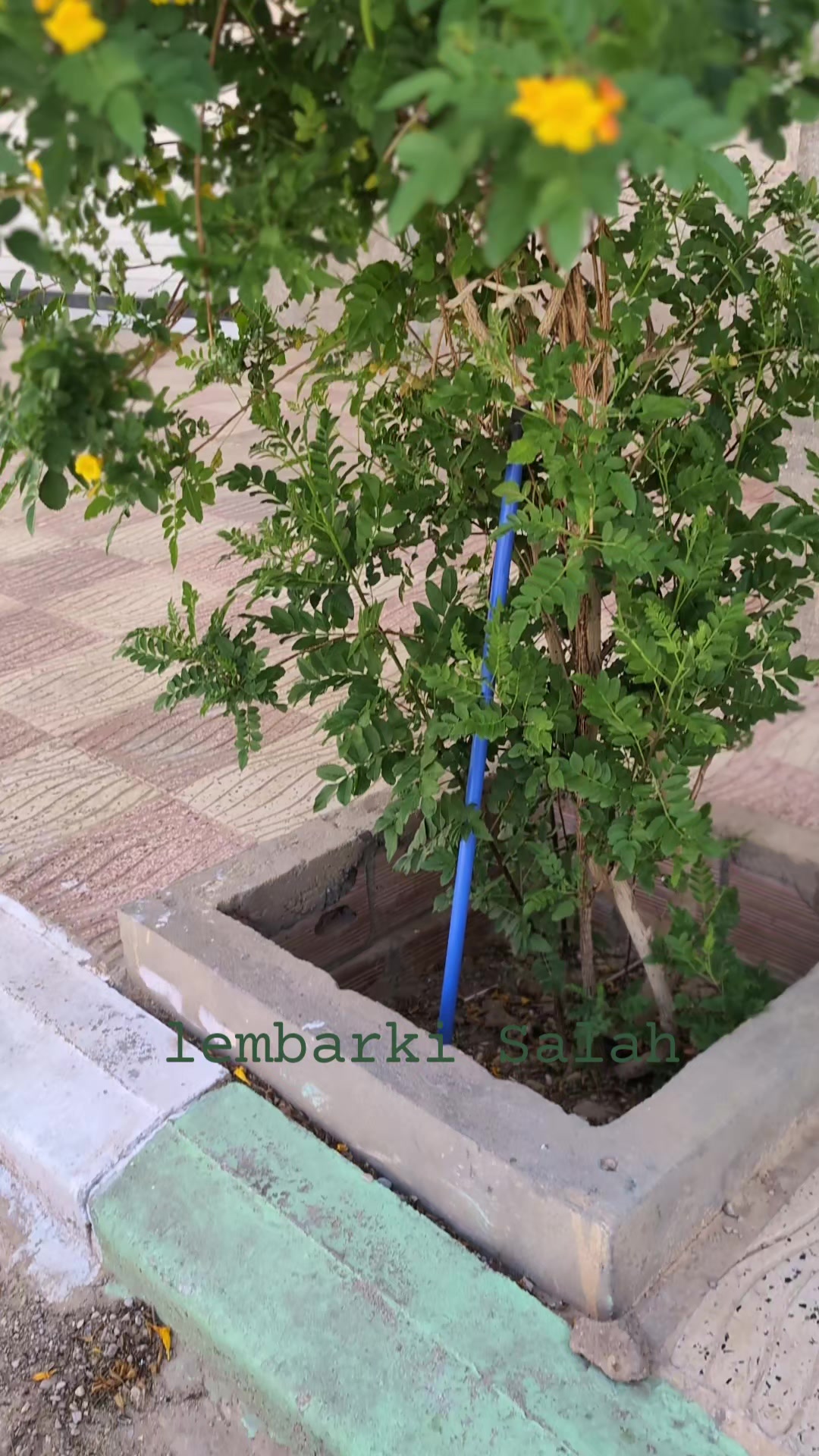 @lembarki salah51
