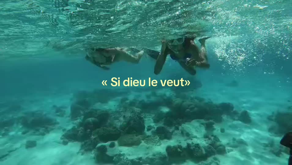 @๐๐๐๐๐๐โ