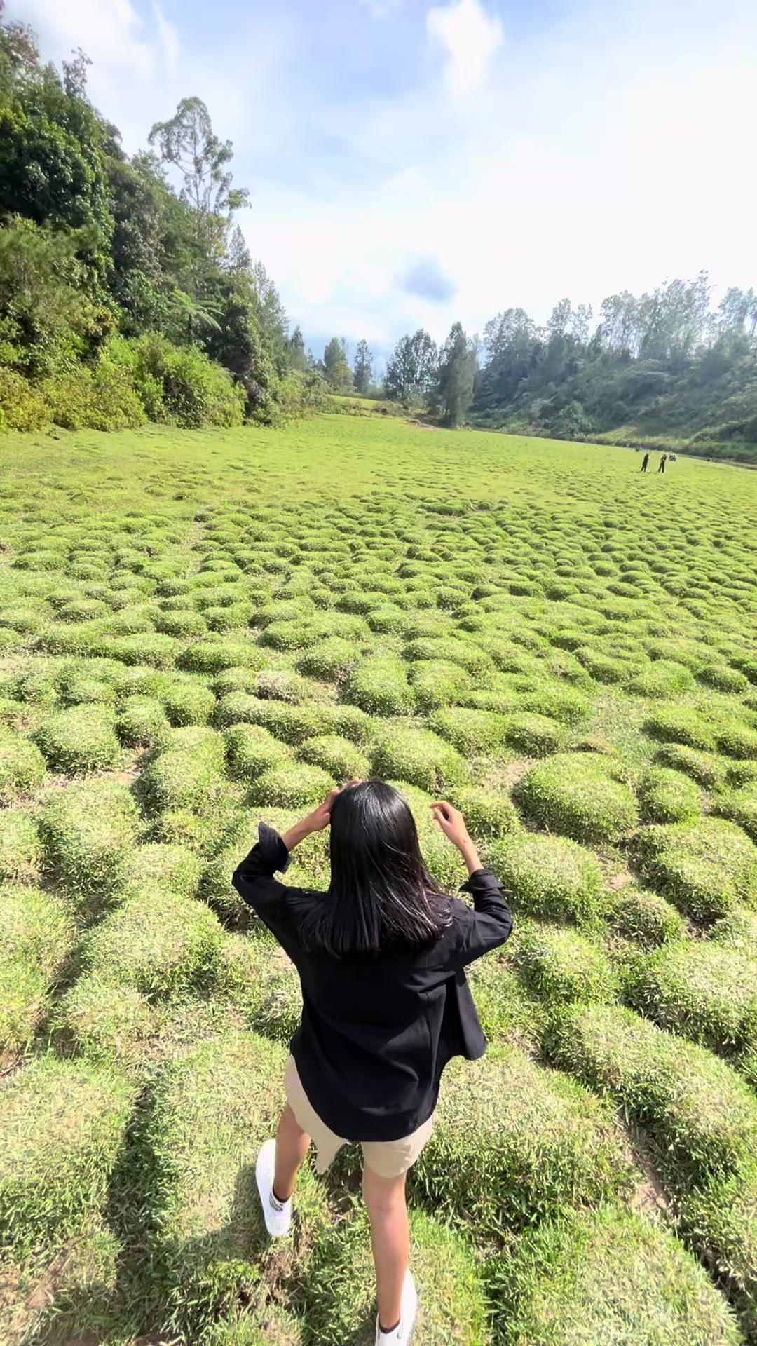 @sipayungku