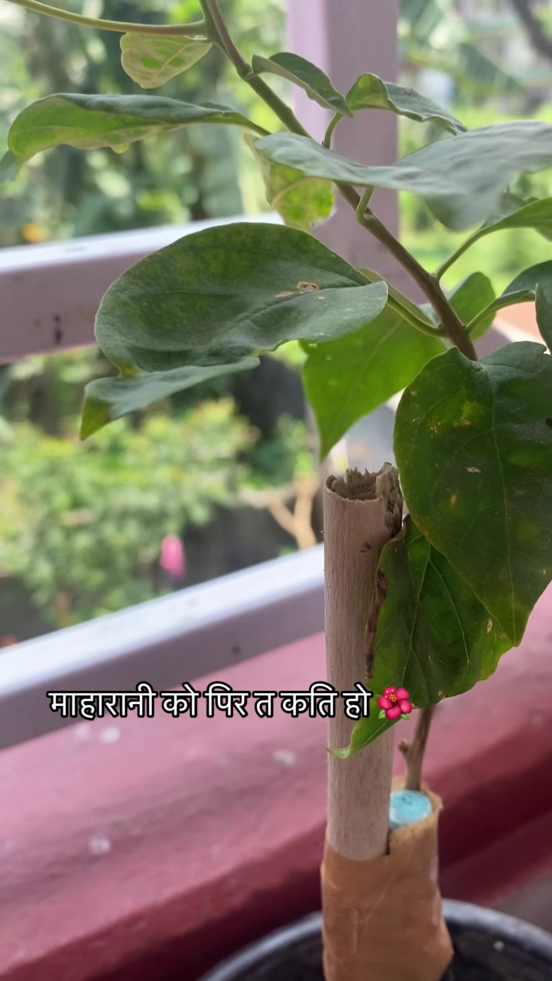 @Bindukarki