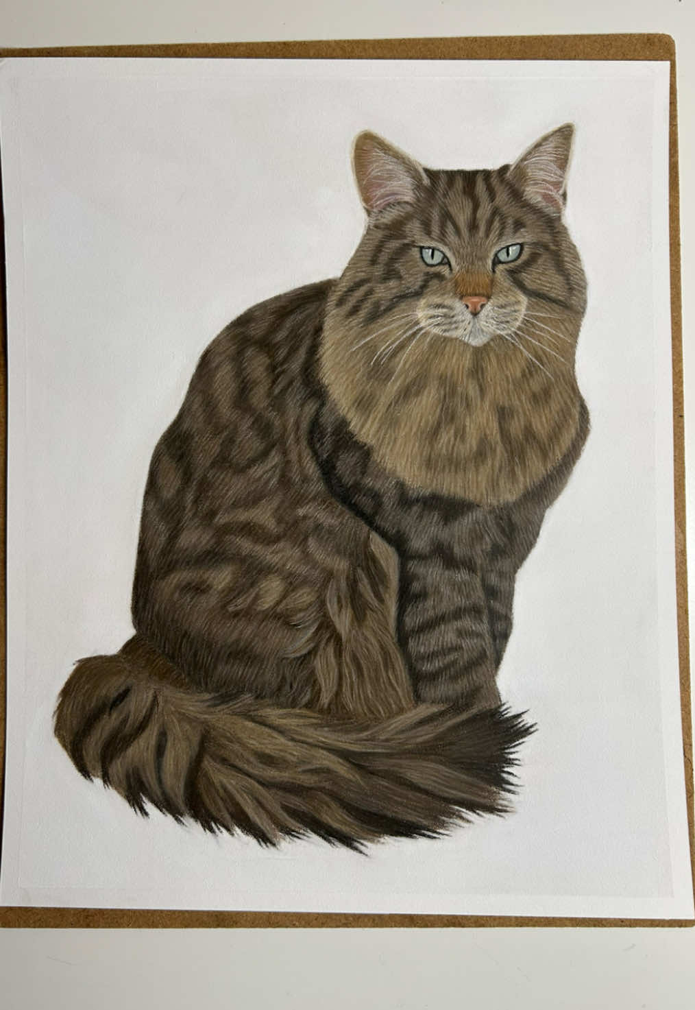 @Pet portraits