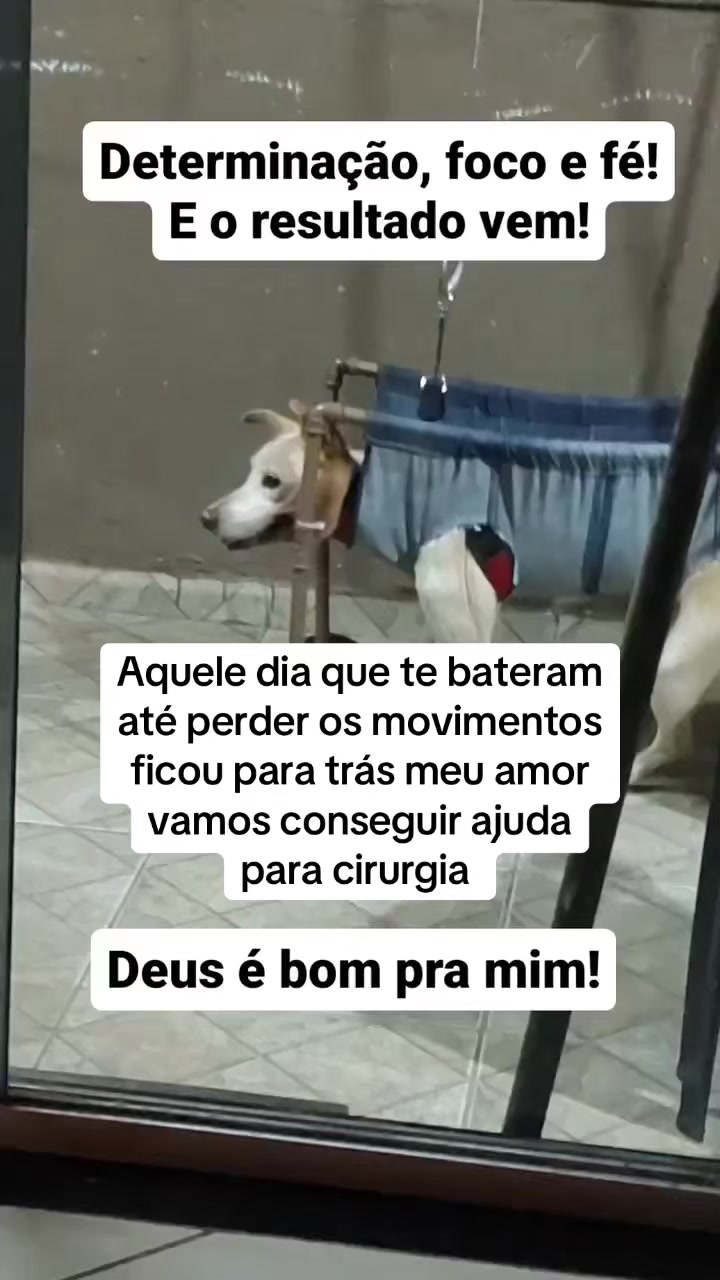@Ajude a Lola