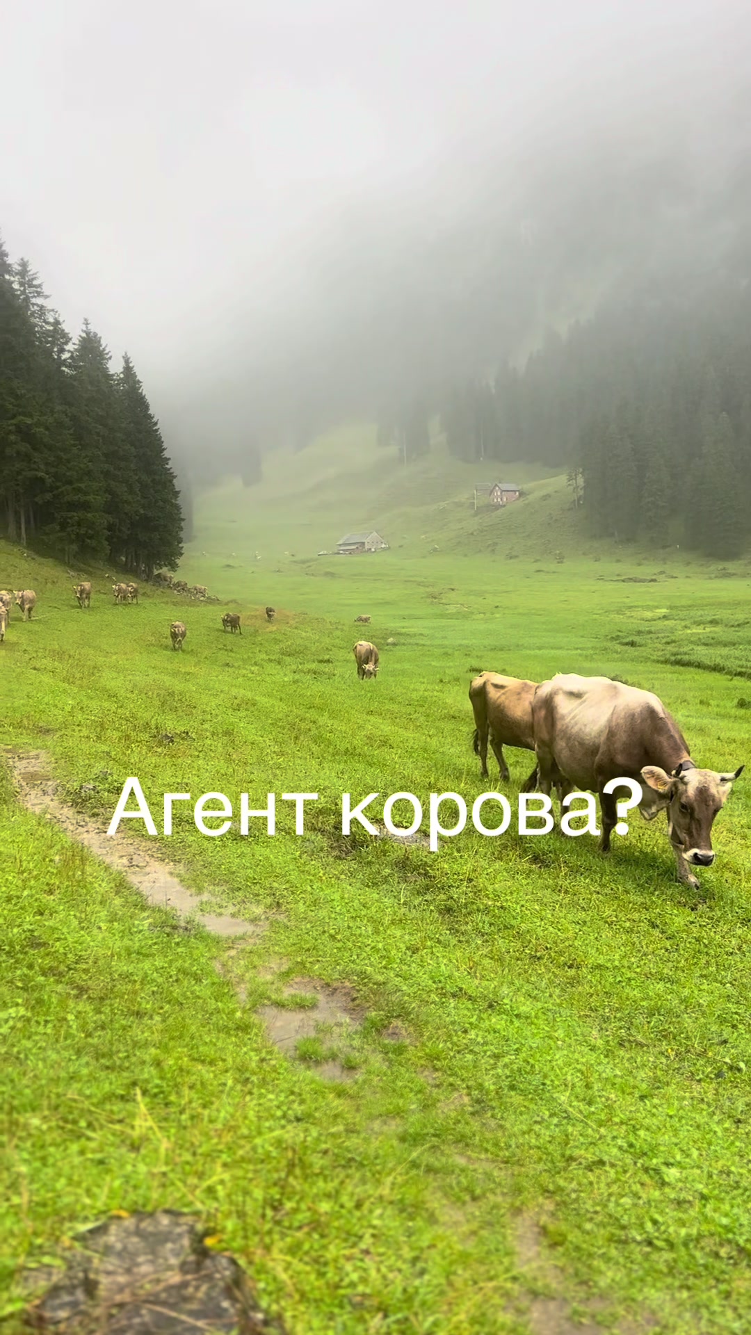 @SORI
