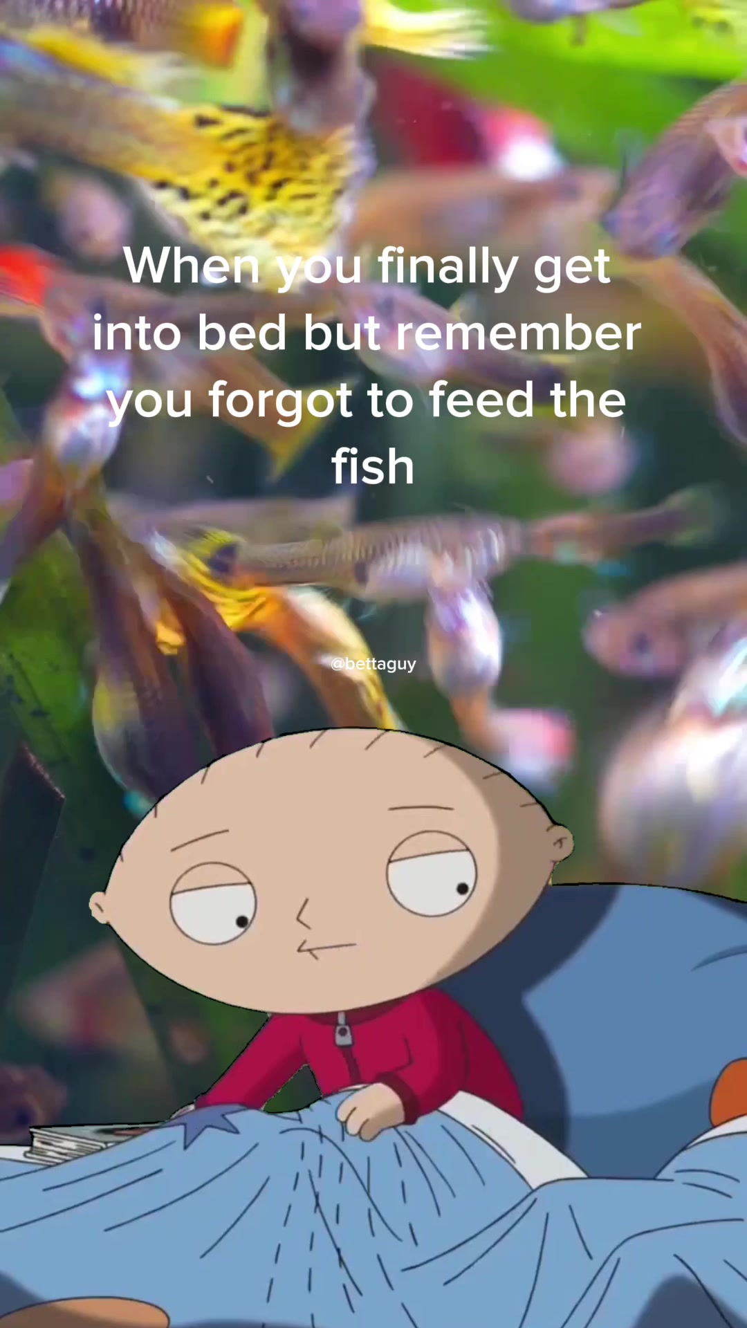 @Fish guy