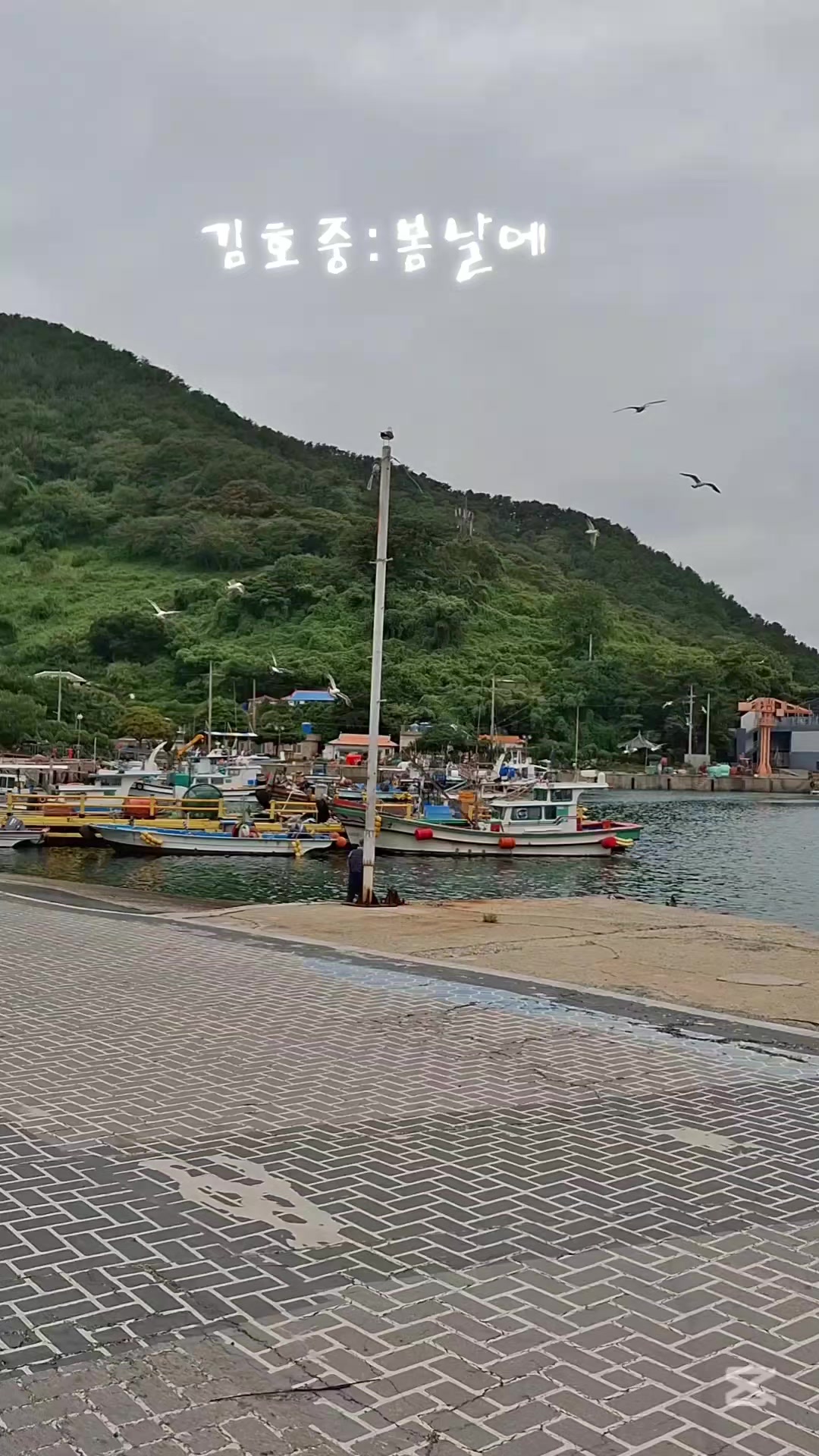 @찔레꽃