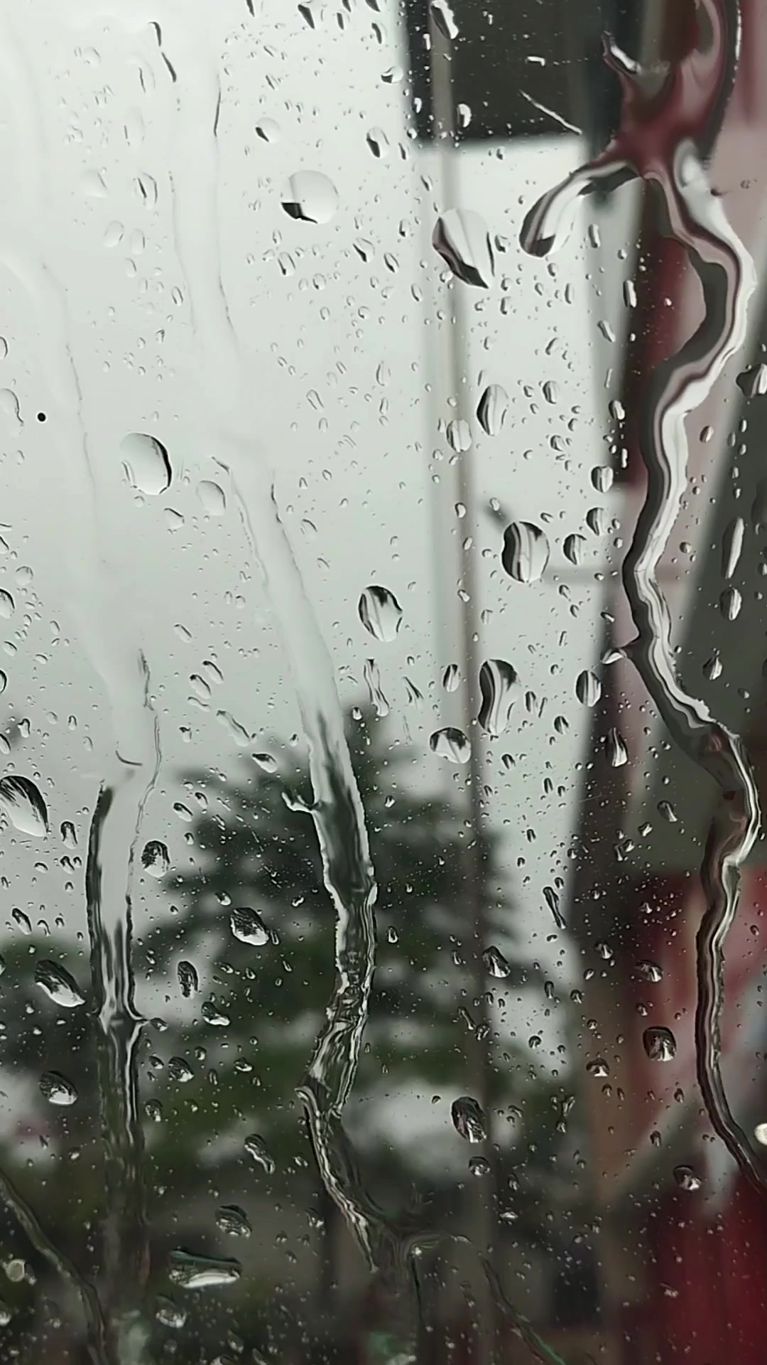 @Jagadraya168