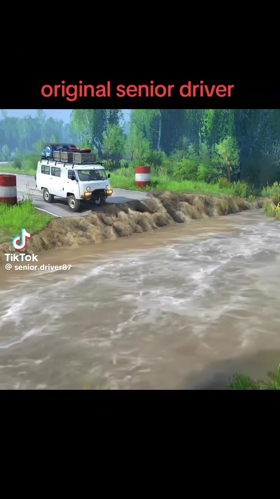 @farnazdeura2424