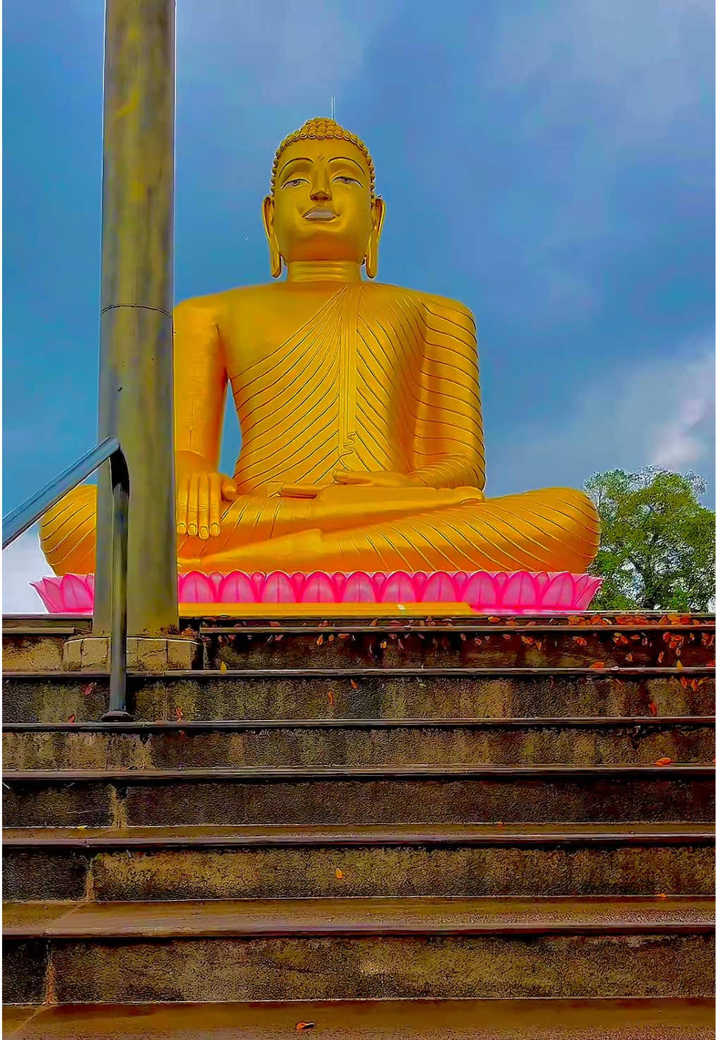 @Sandu M arachchi