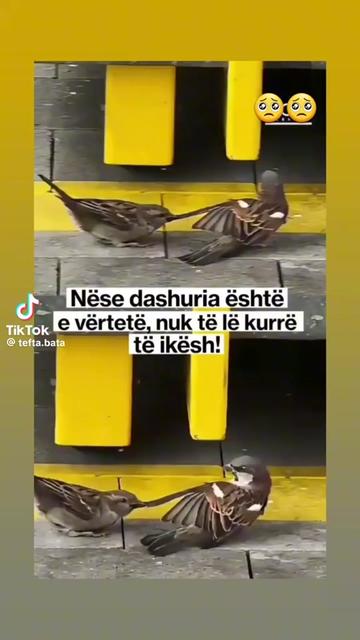 @Z, mebi🎼