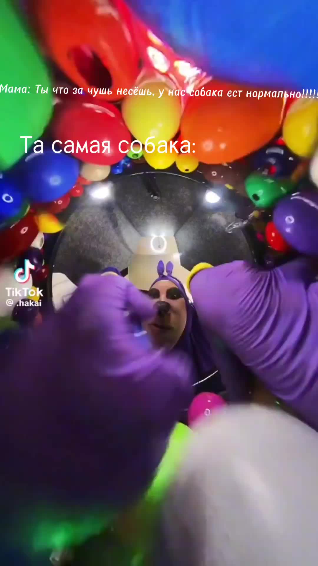 @🪻🎧 ʀᴏʙʟᴏxᴇs 🎧🪻