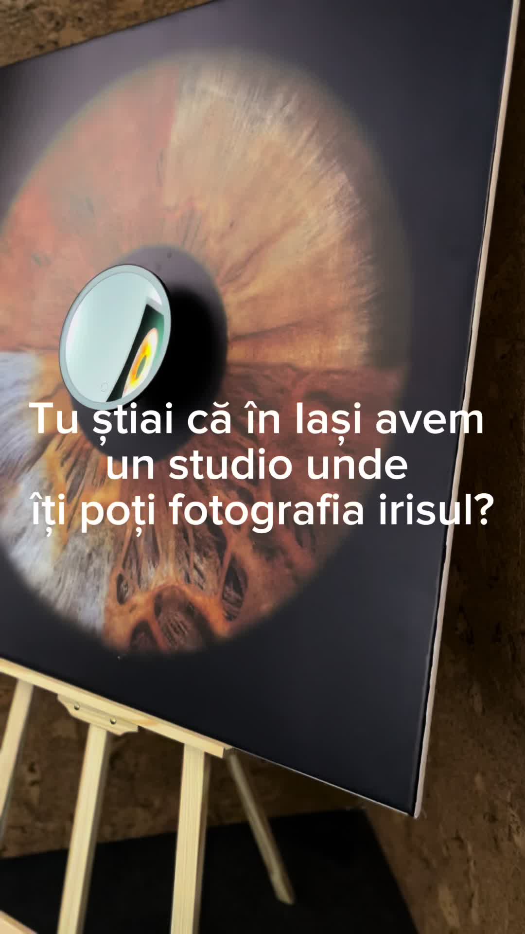@Mari Dumitrache