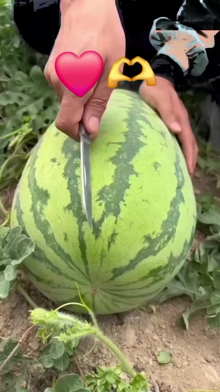 @73 102 6378