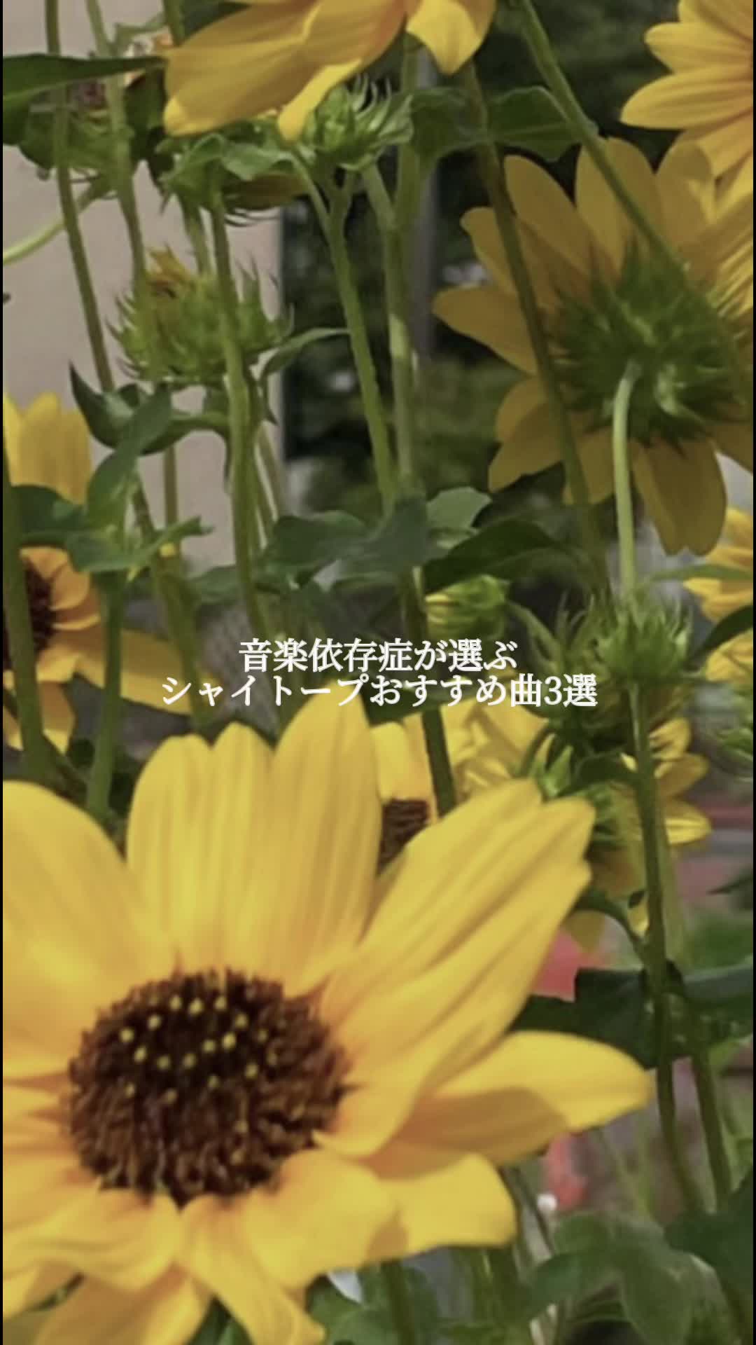@眠