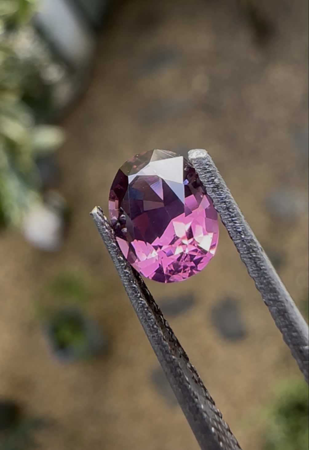 @Ceylon Gems Diary