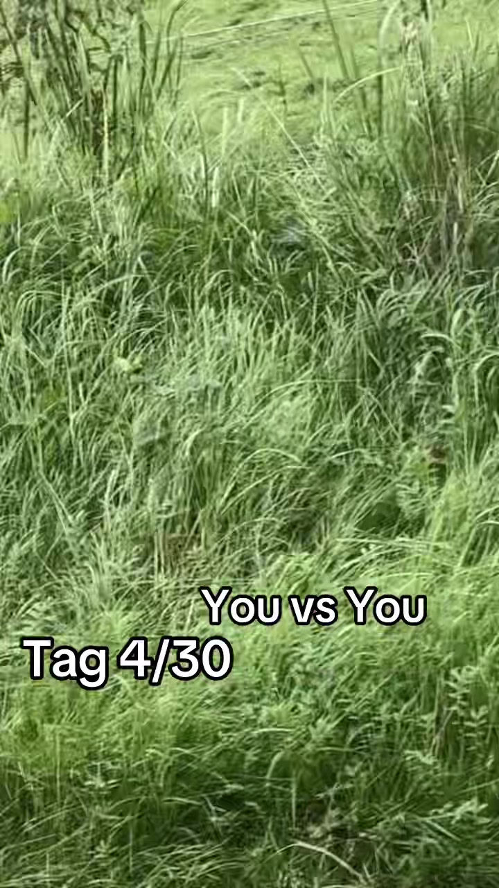@amirx.rzn
