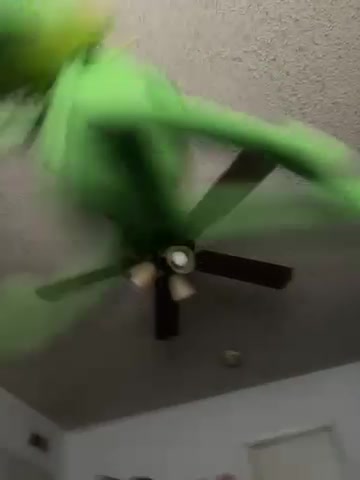 @Zakuren Anims