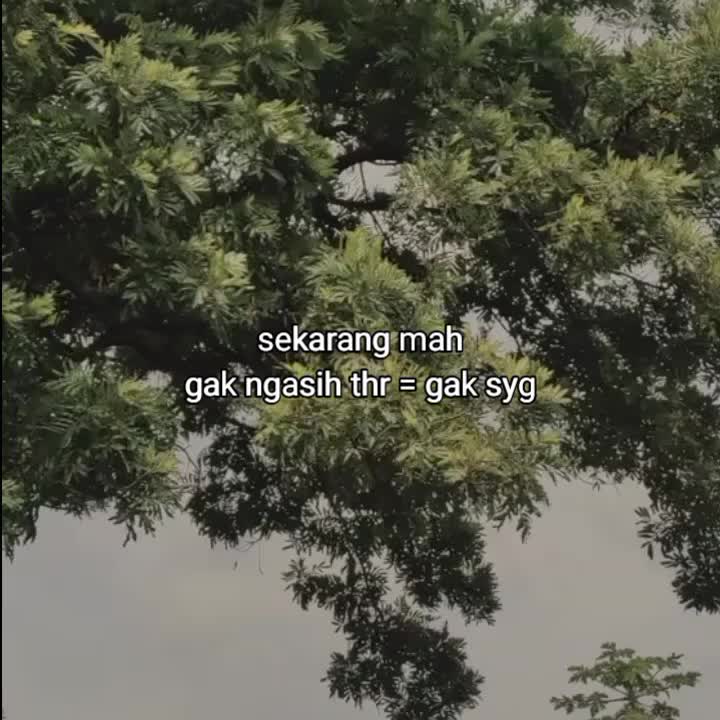 @goodvibez0