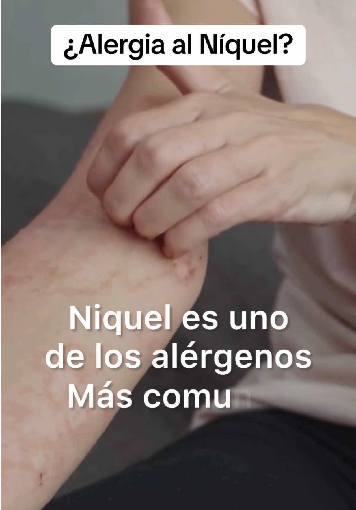 @Mylazygut/Digestión Saludable