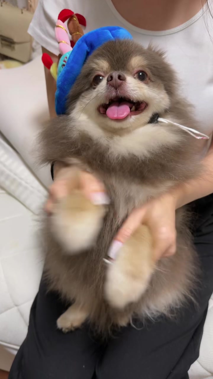 @チャック🐶