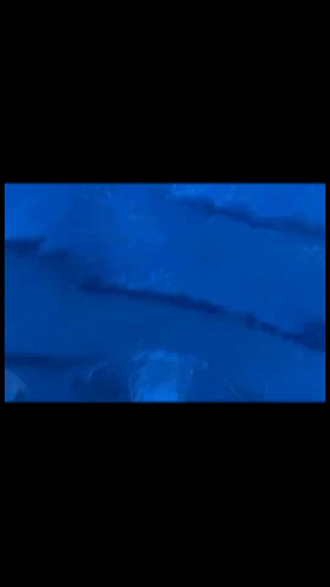 @Саня