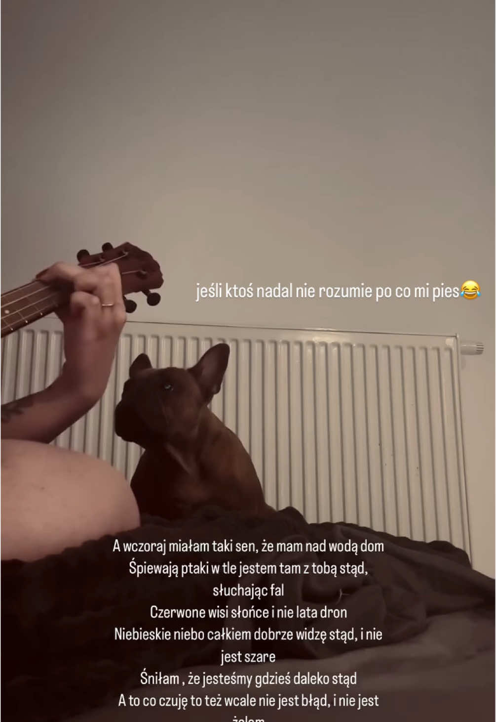 @Lina