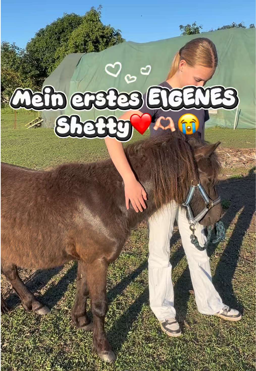 @kht_horselife