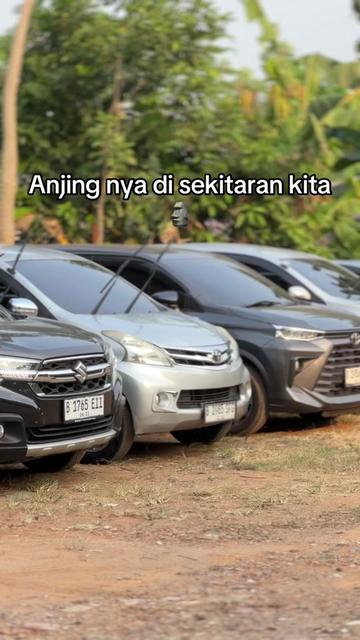 @AVVA RENT CARS