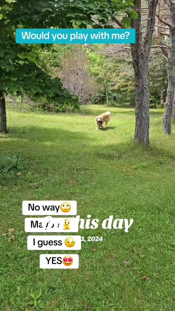 @🐶Griffin