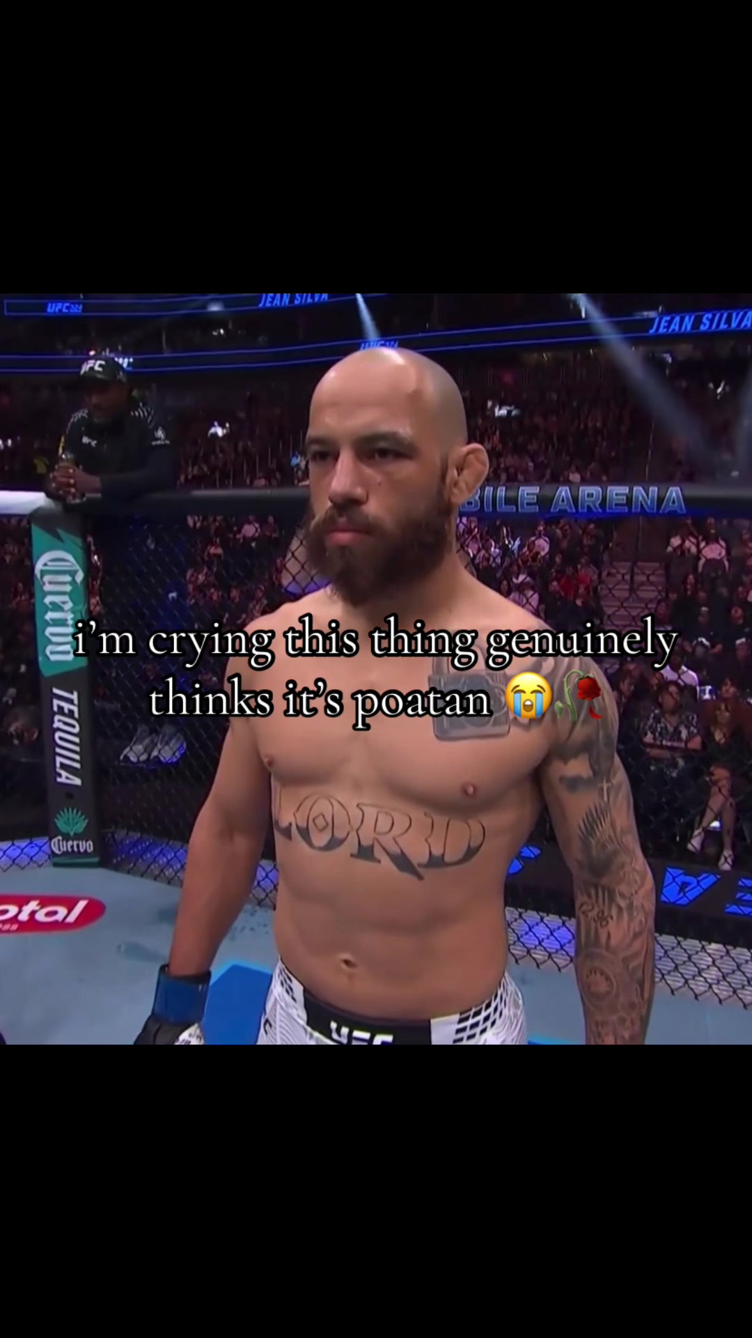 @shamilkanovski
