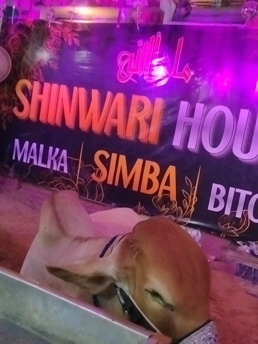 @Sunny Khan {SK}