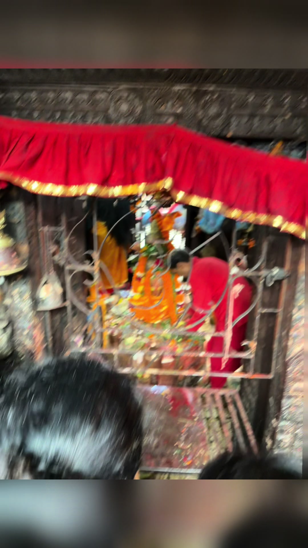 @bidhyagautam10