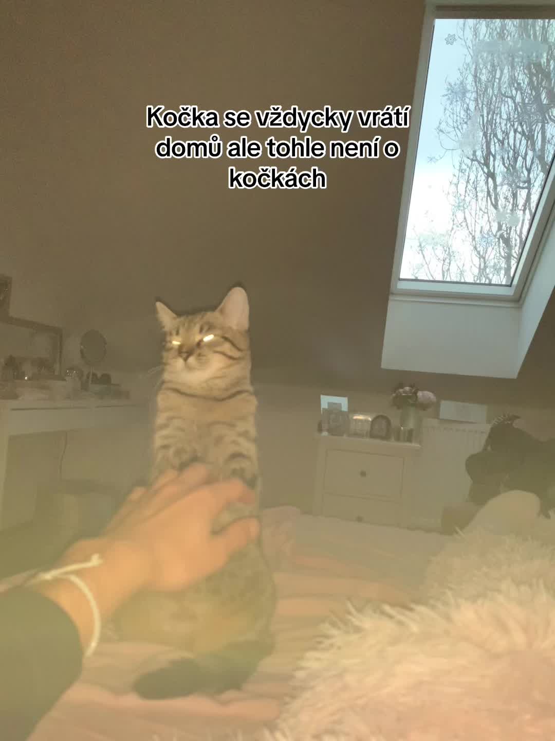 @tiborhinyar