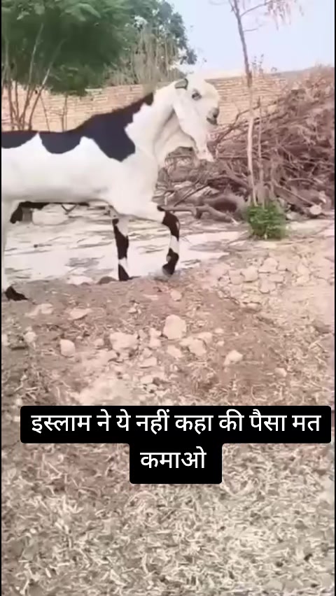 @KHUDKIAWAZ