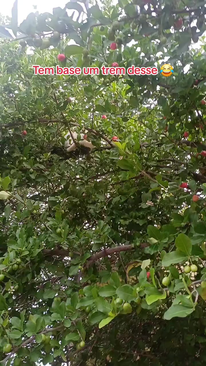 @Amante da natureza