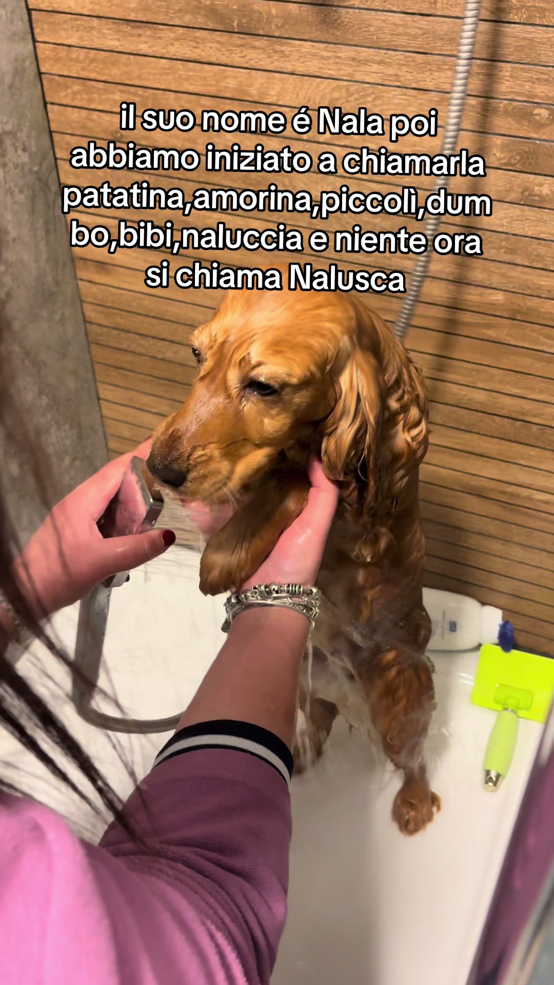 @Dale🩵