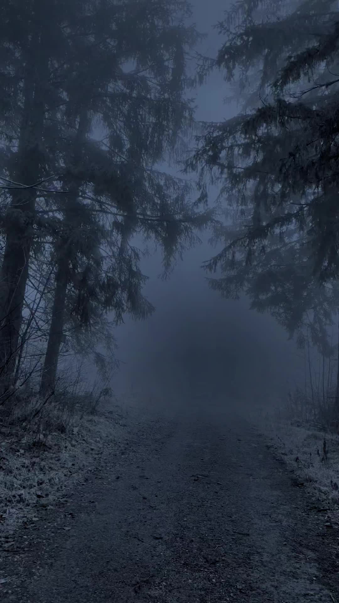 @NatureVibes0