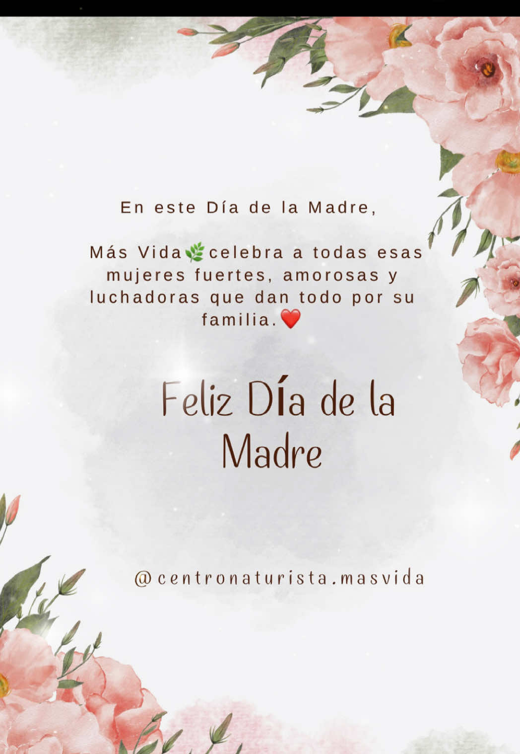 @masvida