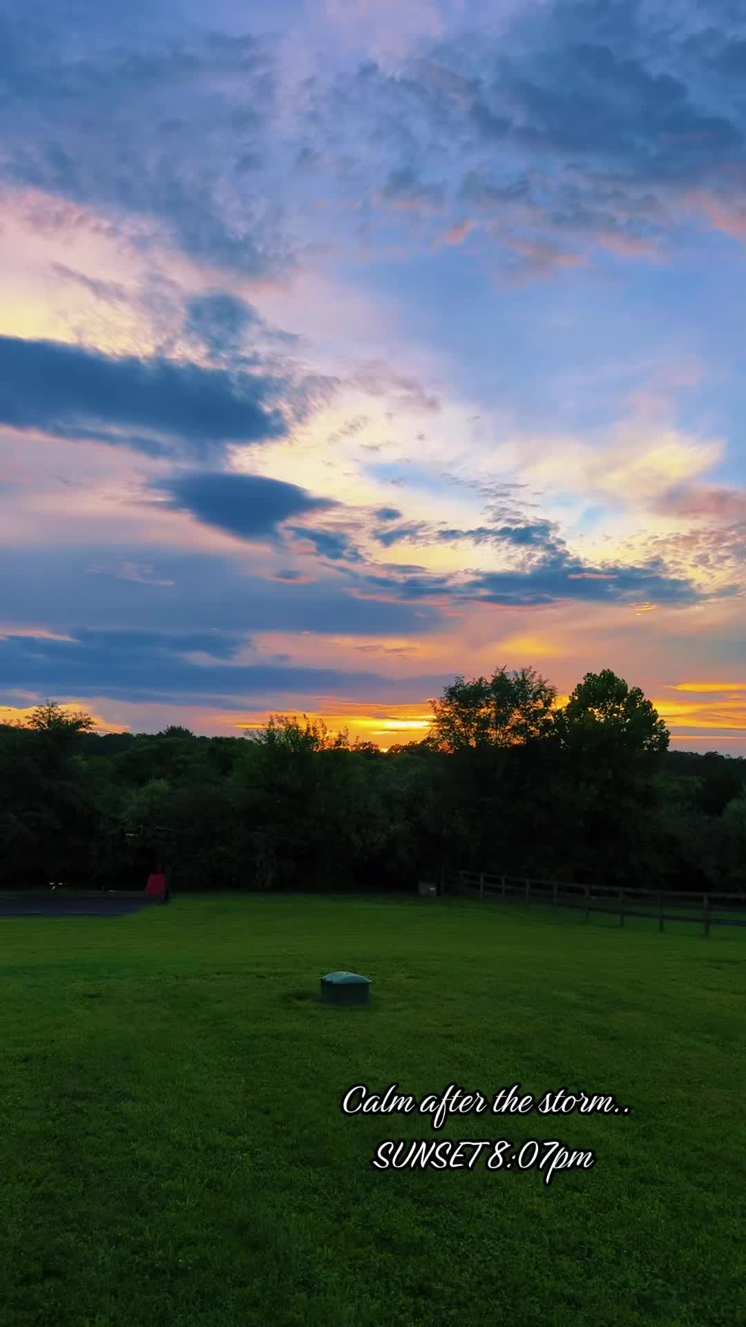 @Danigurl🦮🏇🌅