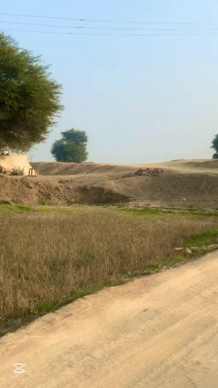 @manzoorahmed
