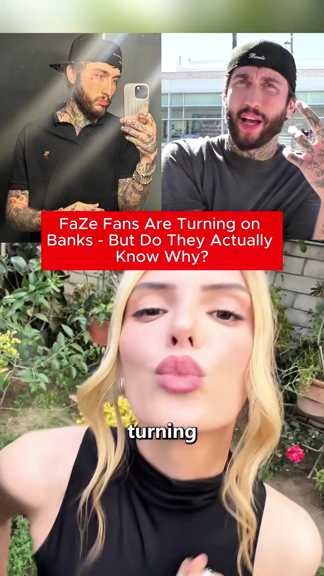 @seeytp