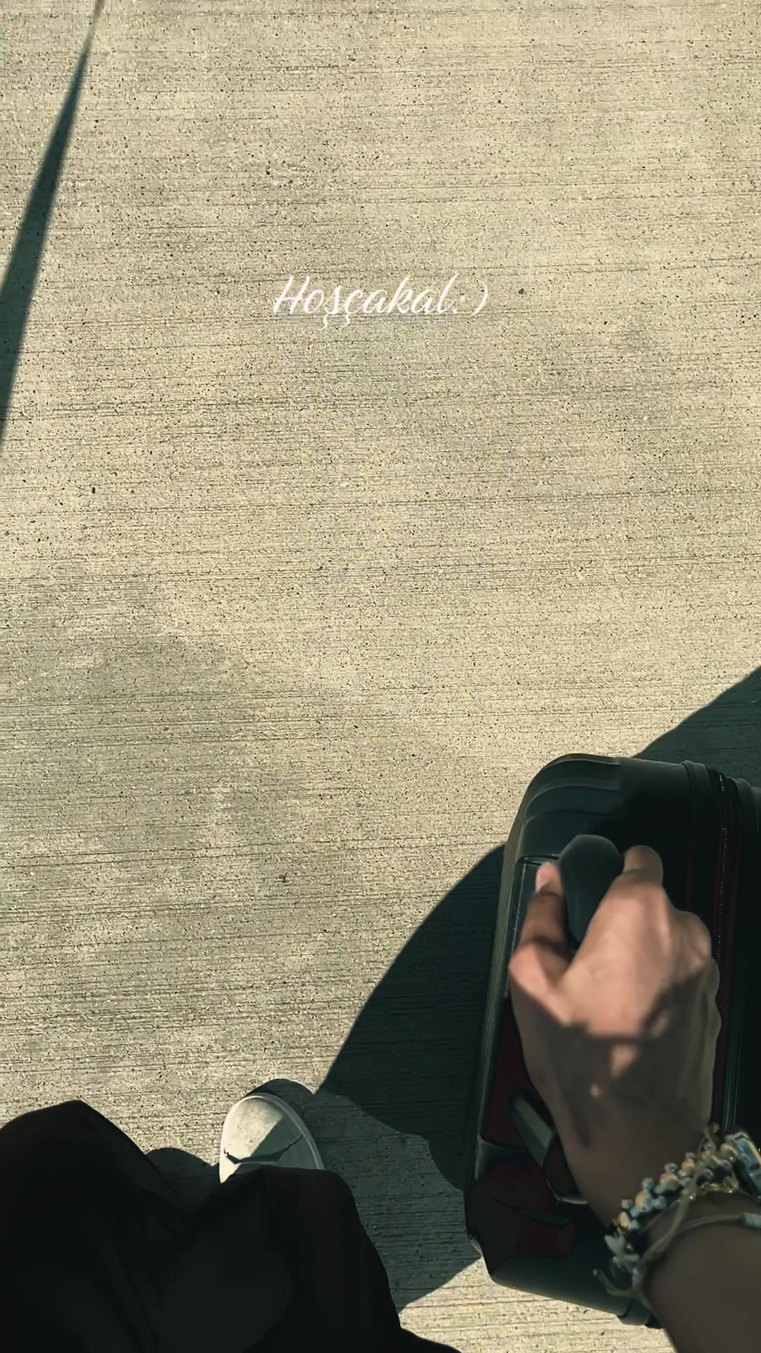 @ℳ ᥫ᭡