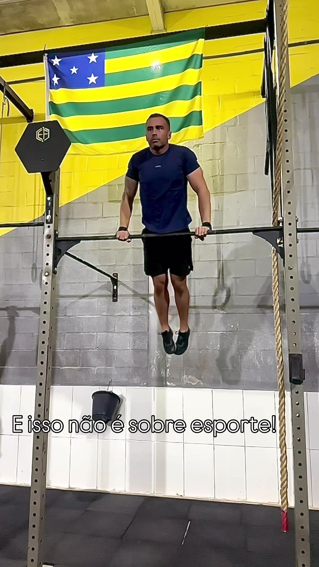 @Bruno Arantes