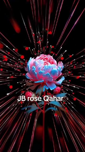 @Abed@JB rose 🌹💖🇸🇽