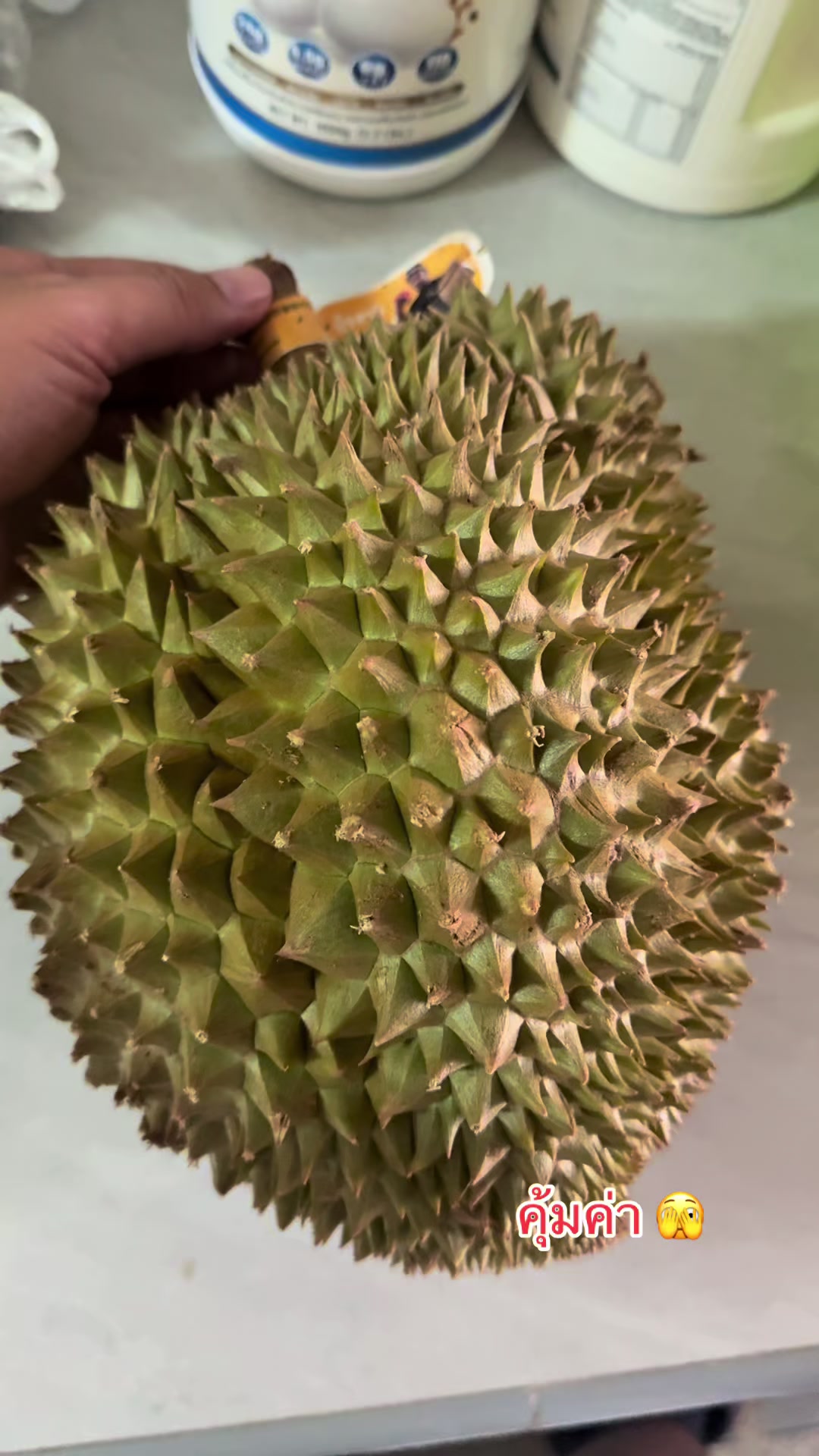 @DJ มาเคียว『𝙇𝙈』
