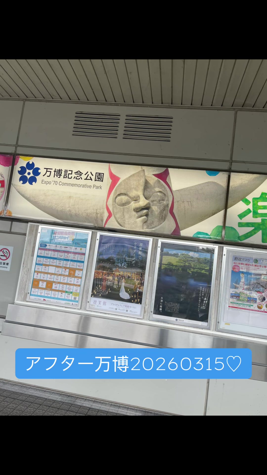 @yapikoo ⋈˖⁺