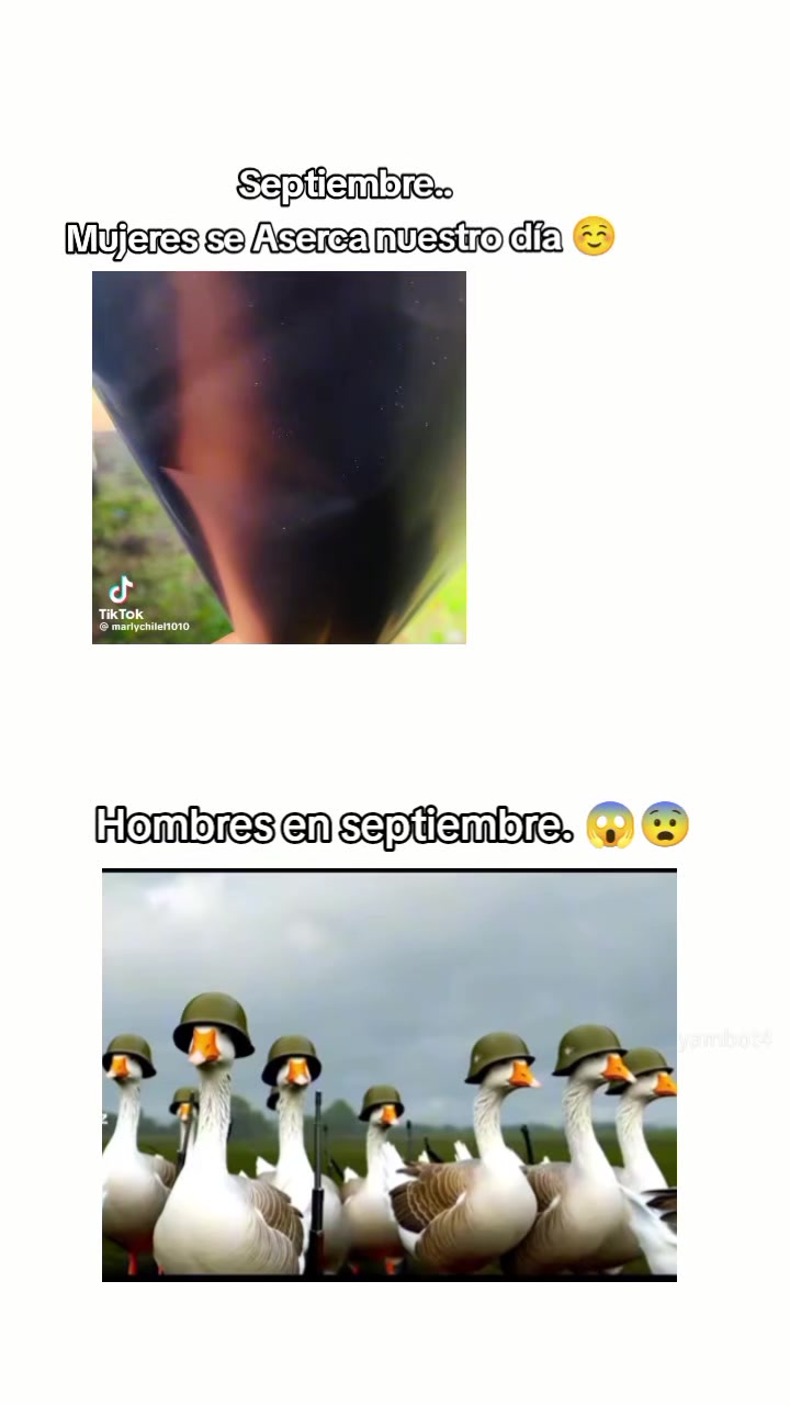 @๐
๐๐ฅ๐ก๐ฒ๐๐
๐ซ๐๐ฌ๐๐ฌ 16๐