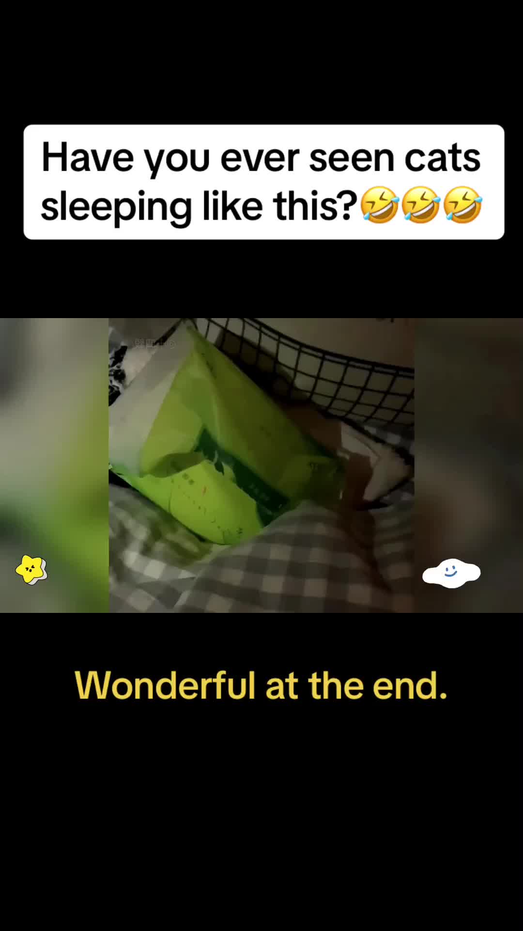 @Cute Pets😻