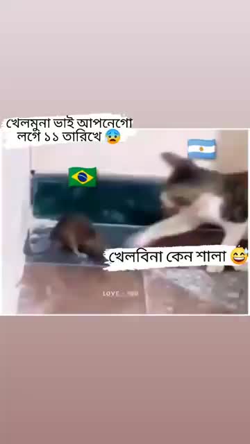 @Sabbir_official